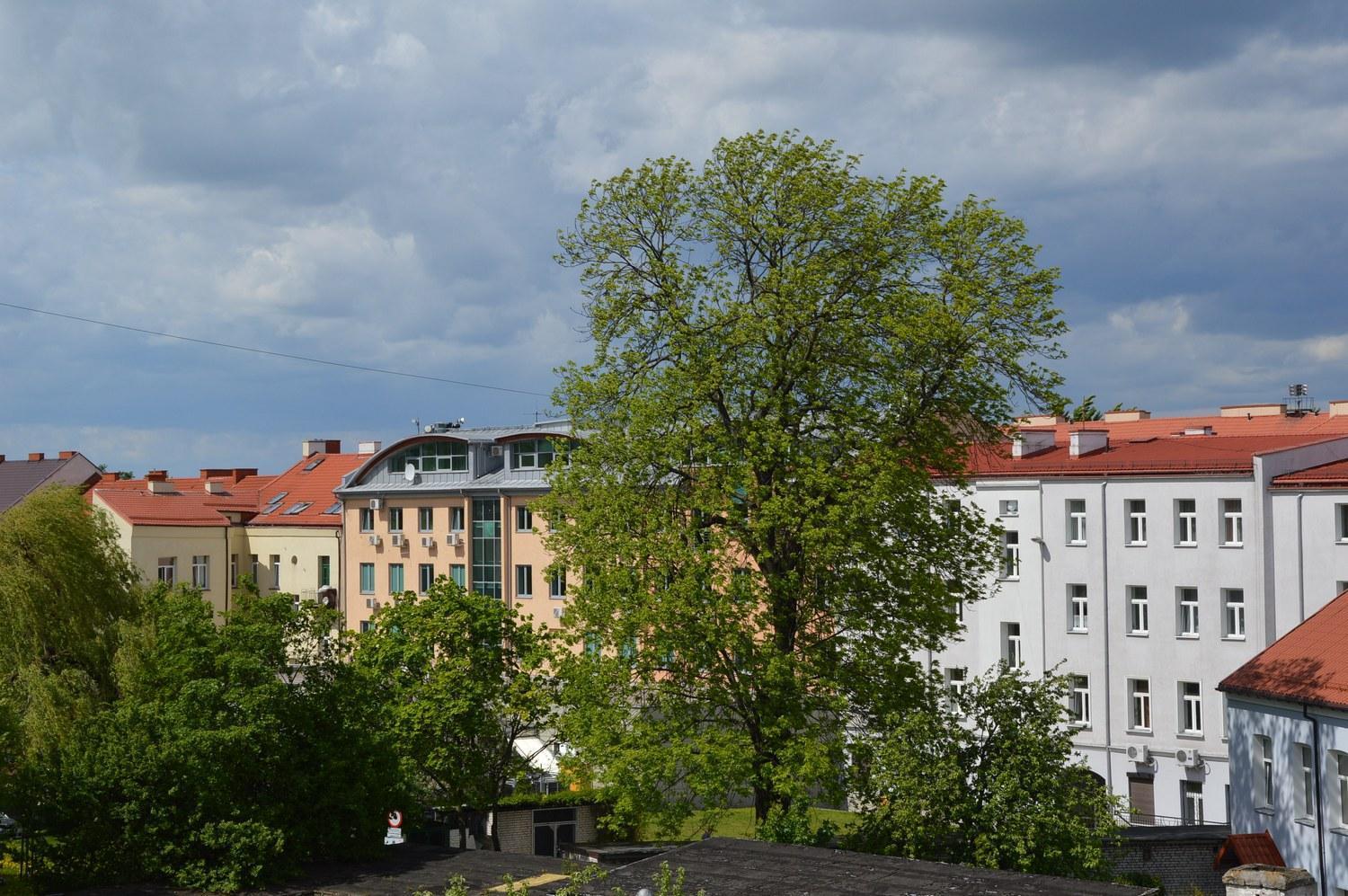 Pokoje Goscinne Centrum Kultury Prawoslawnej Białystok Extérieur photo